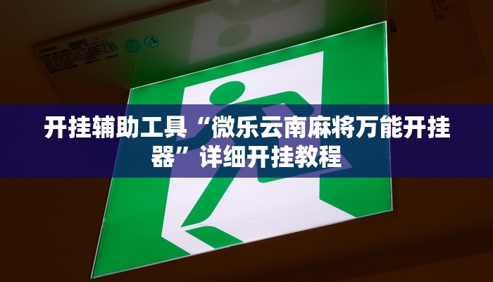开挂辅助工具“微乐云南麻将万能开挂器”详细开挂教程