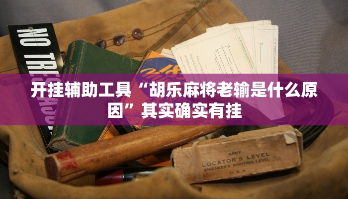 实测辅助”东方十三道辅助器”其实确实有挂
