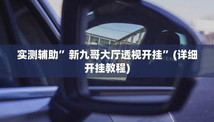 实测辅助”新九哥大厅透视开挂”(详细开挂教程)