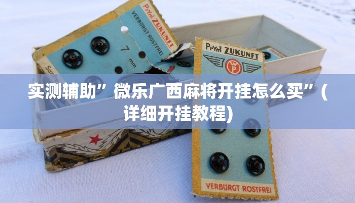 实测辅助”微乐广西麻将开挂怎么买”(详细开挂教程)