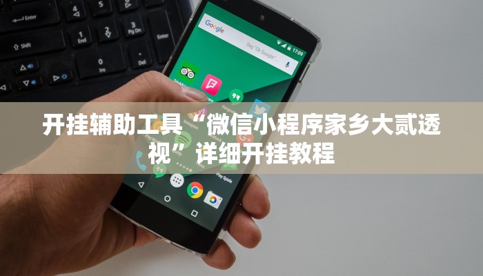 开挂辅助工具“微信小程序家乡大贰透视”详细开挂教程