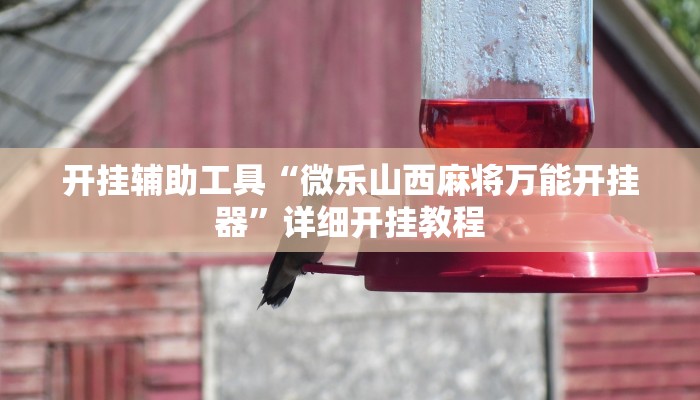 开挂辅助工具“微乐山西麻将万能开挂器”详细开挂教程