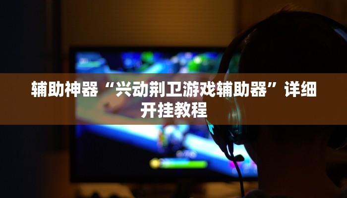 辅助神器“兴动荆卫游戏辅助器”详细开挂教程