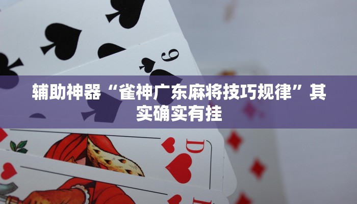 辅助神器“雀神广东麻将技巧规律”其实确实有挂