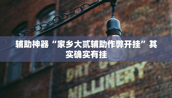 辅助神器“家乡大贰辅助作弊开挂”其实确实有挂