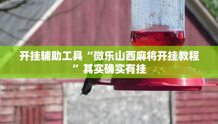 开挂辅助工具“微乐山西麻将开挂教程”其实确实有挂