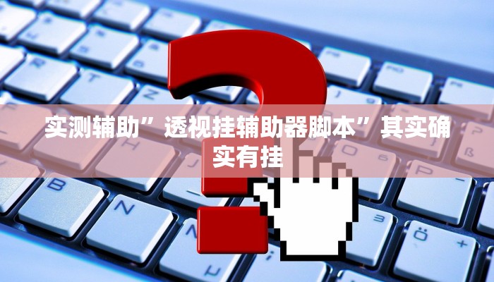 实测辅助”透视挂辅助器脚本”其实确实有挂