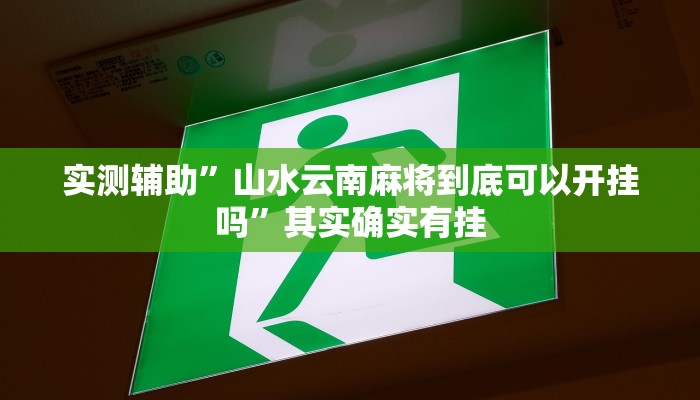 实测辅助”山水云南麻将到底可以开挂吗”其实确实有挂