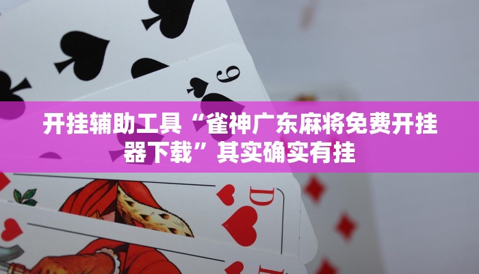 实测辅助”微乐二人跑得快开挂神器”其实确实有挂