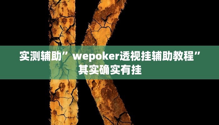 实测辅助”wepoker透视挂辅助教程”其实确实有挂