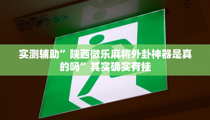 实测辅助”陕西微乐麻将外卦神器是真的吗”其实确实有挂