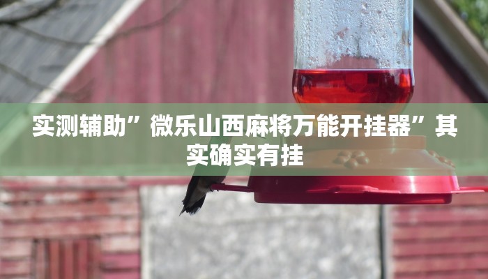 实测辅助”微乐山西麻将万能开挂器”其实确实有挂