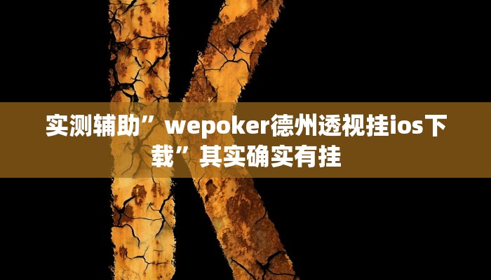 实测辅助”wepoker德州透视挂ios下载”其实确实有挂