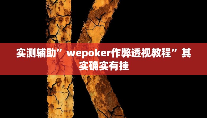 实测辅助”wepoker作弊透视教程”其实确实有挂