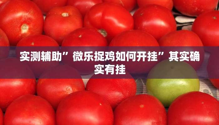 实测辅助”微乐捉鸡如何开挂”其实确实有挂