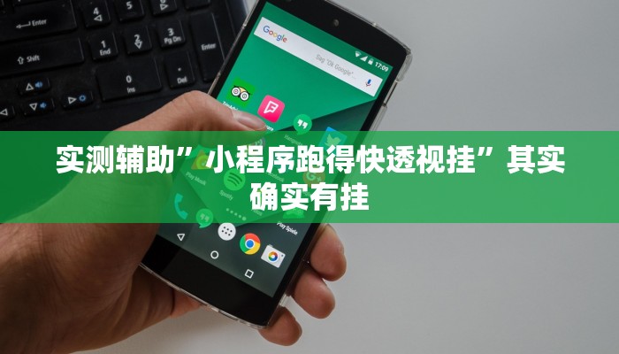 实测辅助”小程序跑得快透视挂”其实确实有挂