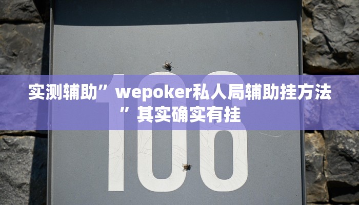 实测辅助”wepoker私人局辅助挂方法”其实确实有挂