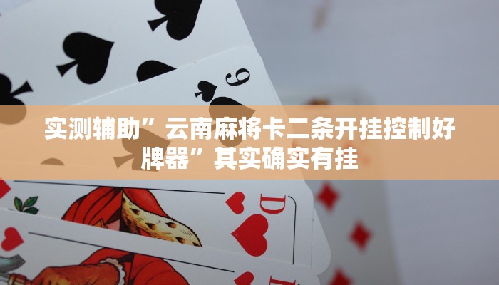 实测辅助”wpk到底有挂透视吗”其实确实有挂