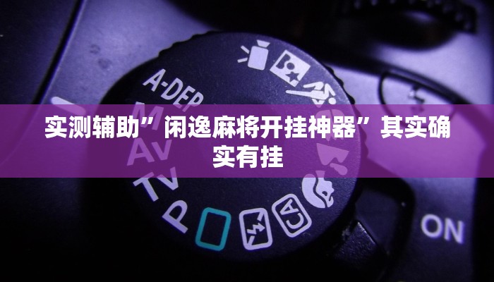 实测辅助”新老夫子拼十开挂怎么使用的”其实确实有挂