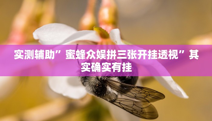 实测辅助”悟空大厅拼三张开挂怎么使用的”其实确实有挂
