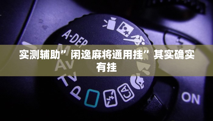实测辅助”闲逸麻将通用挂”其实确实有挂