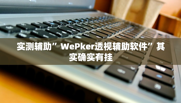 实测辅助”WePker透视辅助软件”其实确实有挂