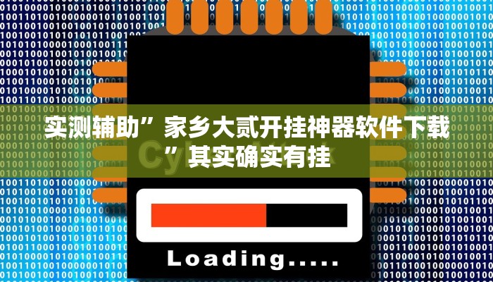实测辅助”家乡大贰开挂神器软件下载”其实确实有挂