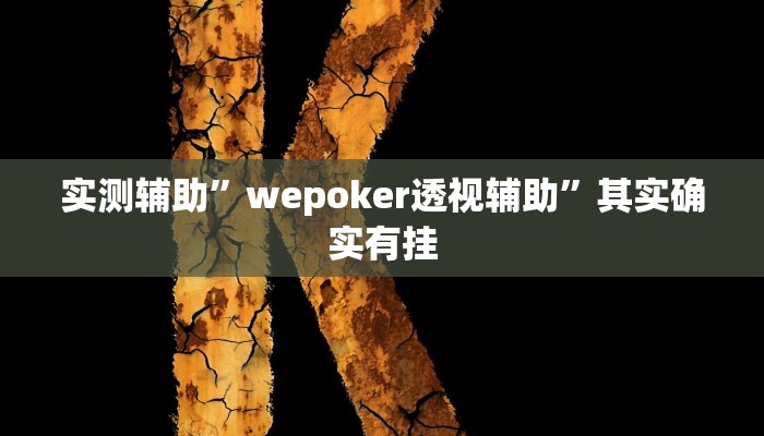 实测辅助”wepoker透视辅助”其实确实有挂