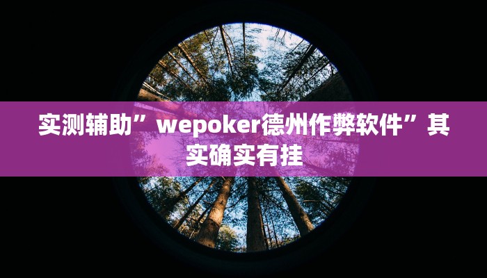 实测辅助”wepoker德州作弊软件”其实确实有挂