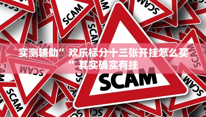 实测辅助”欢乐标分十三张开挂怎么买”其实确实有挂