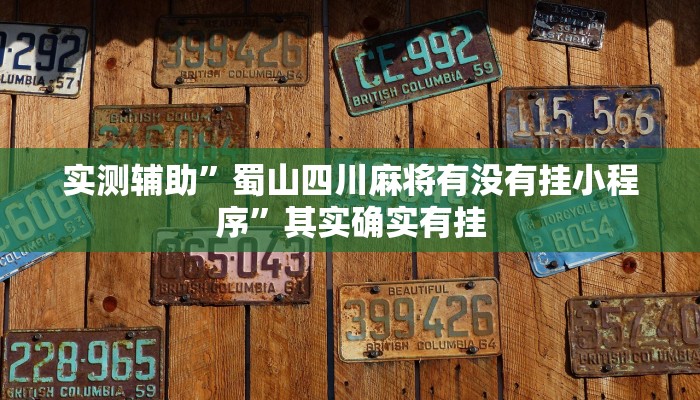 实测辅助”蜀山四川麻将有没有挂小程序”其实确实有挂