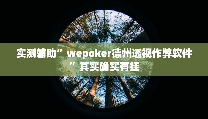实测辅助”wepoker德州透视作弊软件”其实确实有挂