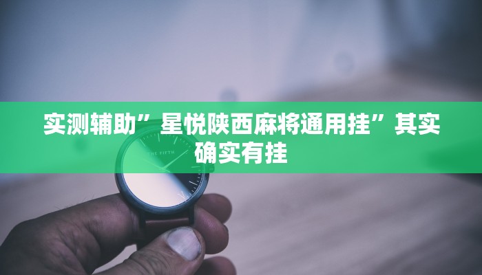 实测辅助”星悦陕西麻将通用挂”其实确实有挂