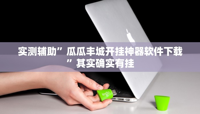 实测辅助”瓜瓜丰城开挂神器软件下载”其实确实有挂