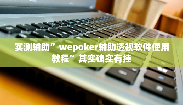 实测辅助”wepoker辅助透视软件使用教程”其实确实有挂