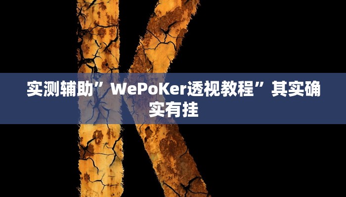 实测辅助”WePoKer透视教程”其实确实有挂