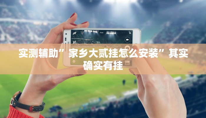 实测辅助”家乡大贰挂怎么安装”其实确实有挂
