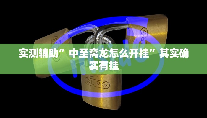 实测辅助”中至窝龙怎么开挂”其实确实有挂
