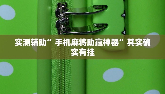 实测辅助”手机麻将助赢神器”其实确实有挂