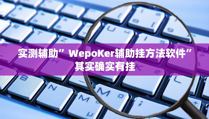 实测辅助”WepoKer辅助挂方法软件”其实确实有挂