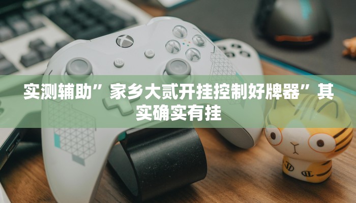 实测辅助”家乡大贰开挂控制好牌器”其实确实有挂