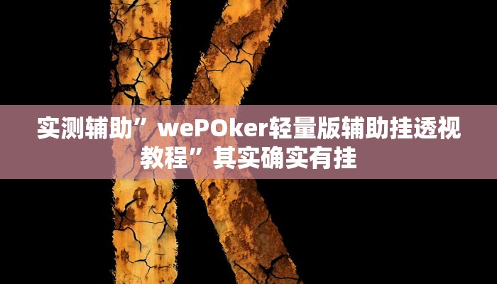 实测辅助”wePOker轻量版辅助挂透视教程”其实确实有挂
