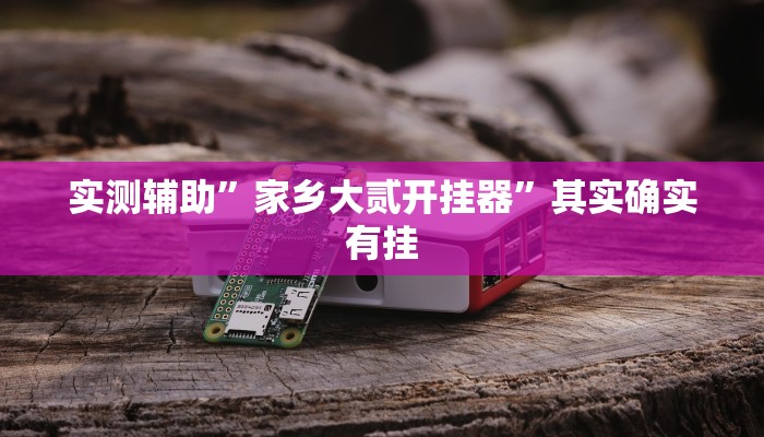 实测辅助”家乡大贰开挂器”其实确实有挂