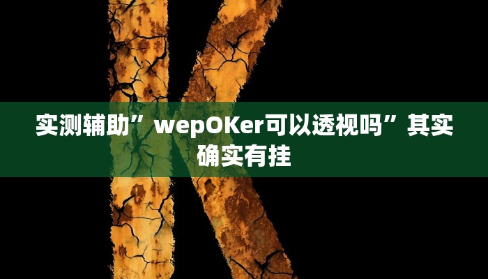 实测辅助”wepOKer可以透视吗”其实确实有挂