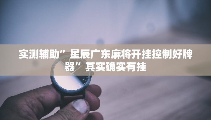 实测辅助”星辰广东麻将开挂控制好牌器”其实确实有挂