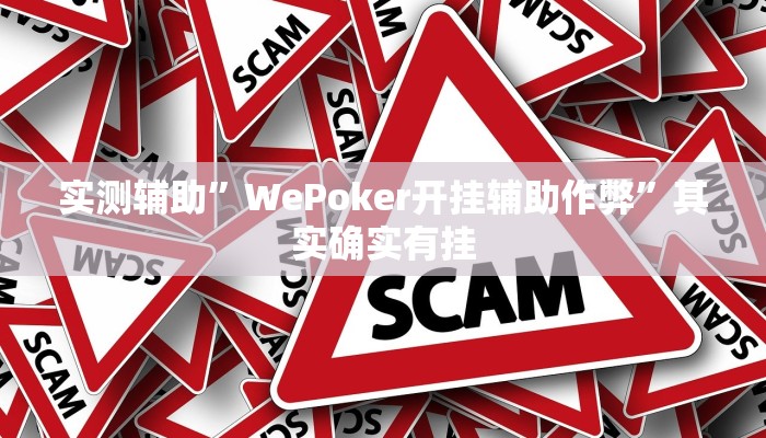 实测辅助”WePoker开挂辅助作弊”其实确实有挂