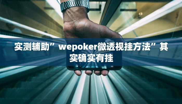 实测辅助”wepoker微透视挂方法”其实确实有挂