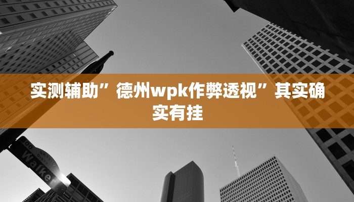 实测辅助”德州wpk作弊透视”其实确实有挂