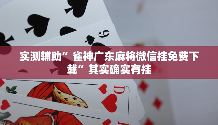 实测辅助”雀神广东麻将微信挂免费下载”其实确实有挂