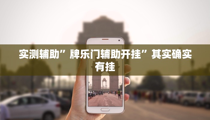实测辅助”牌乐门辅助开挂”其实确实有挂